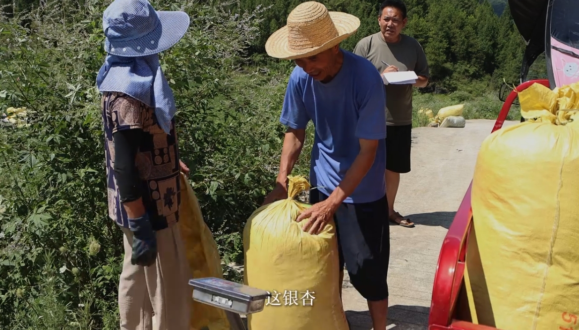 1728983563455326.png 1728983563455326.png