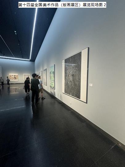 2e957a79d24f0a5a47648b74884aa56,第十四届全国美术作品(版画展区)展览现场图2