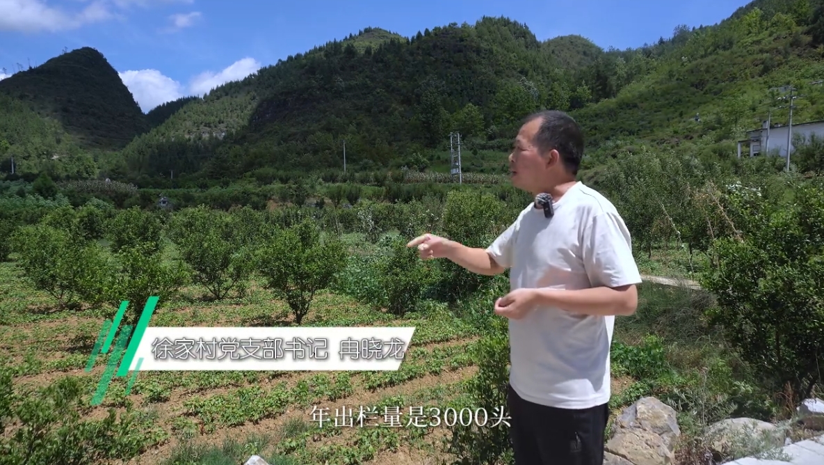 1728983511308791.png 1728983511308791.png